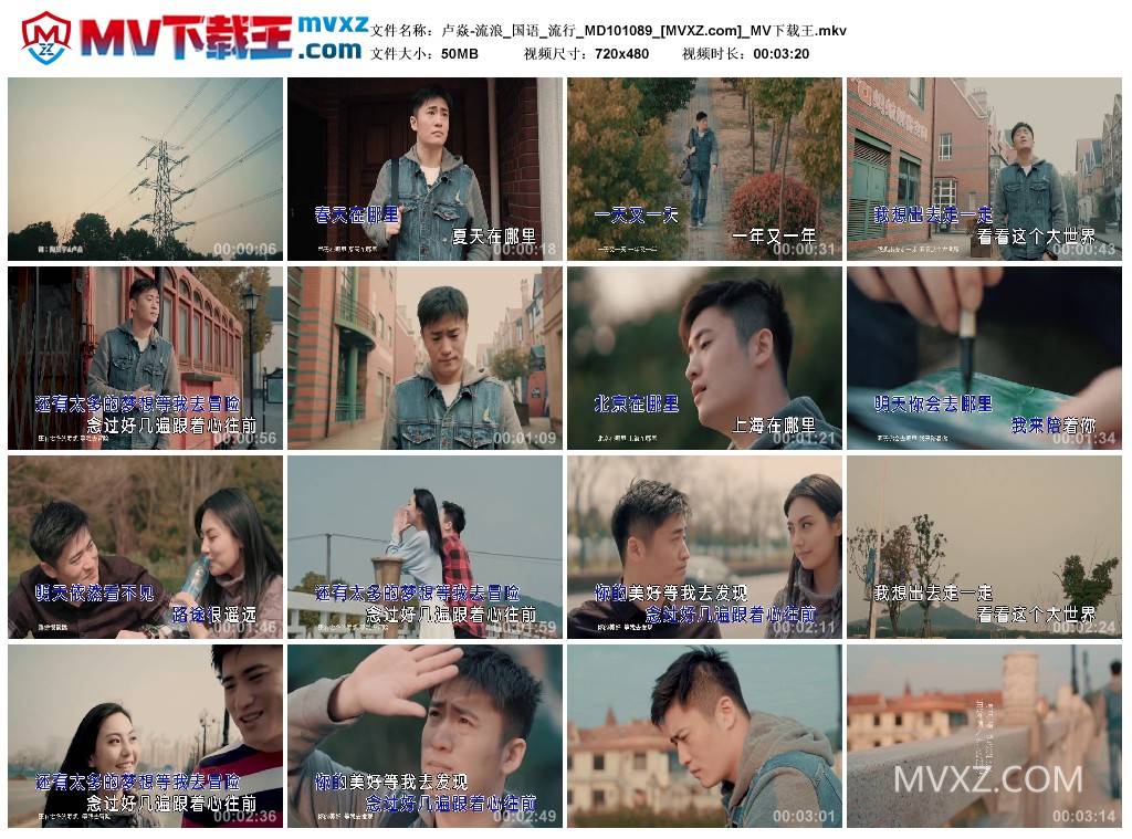 卢焱-流浪_国语_流行_MD101089